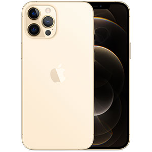 Apple iPhone 12 Pro Max dėklai